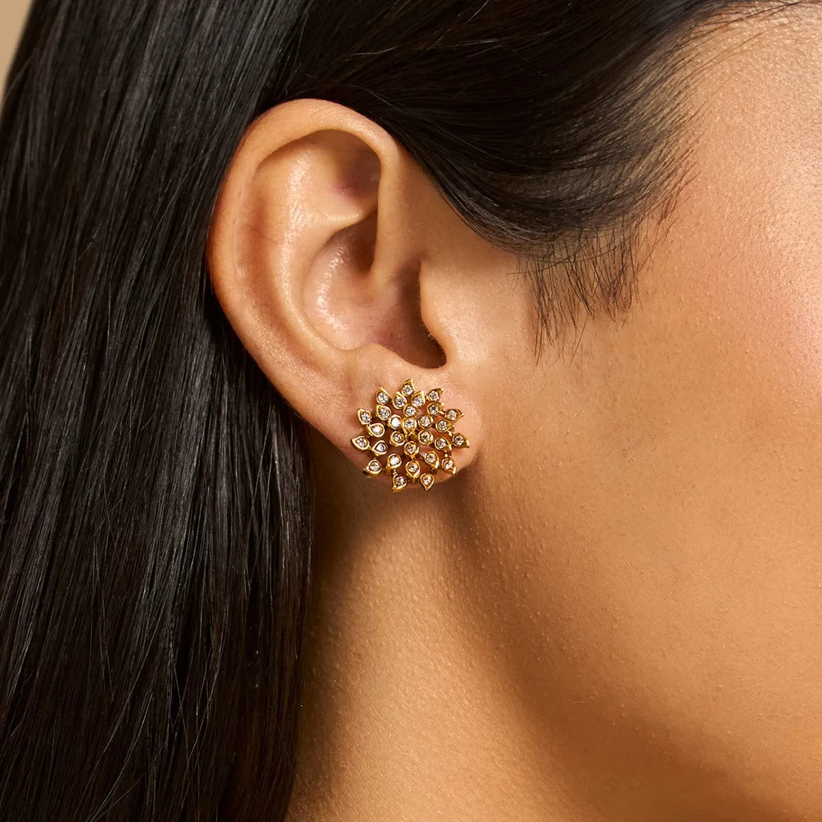 Antique Earring 173540