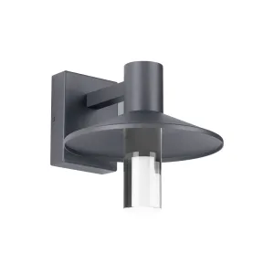Ash 10 In. LED Hi-Output Outdoor Wall Sconce 1114 Lumens 3000K Button Photocontrol Gray Finish Clear Cylinder