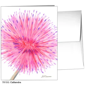 Calliandra, Greeting Card (7815G)