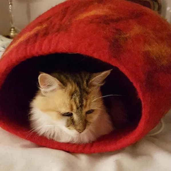 Cat Cave - Apple