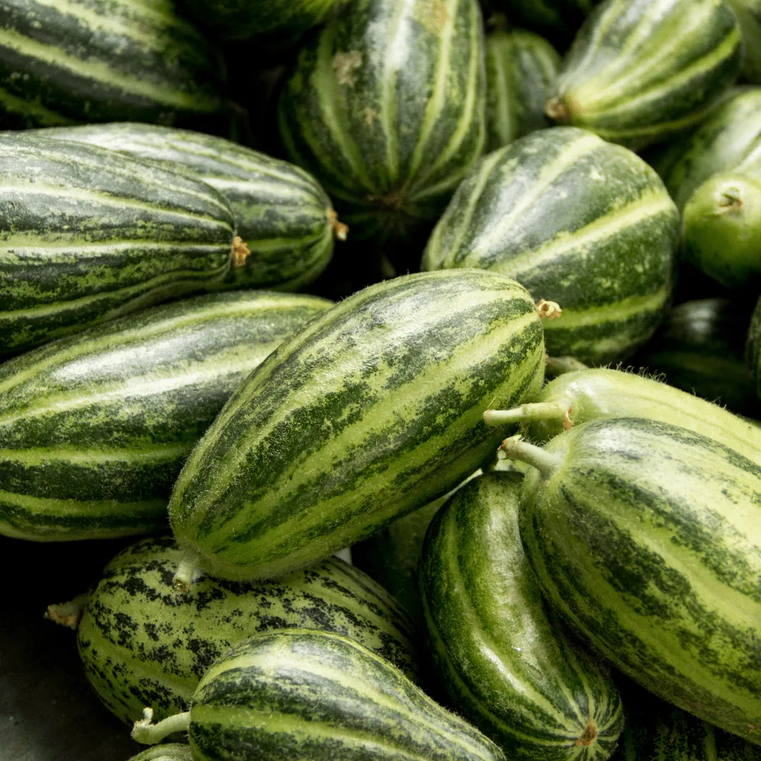 Cucumber Carosello Spuredda Leccese Seeds | Weston Seeds