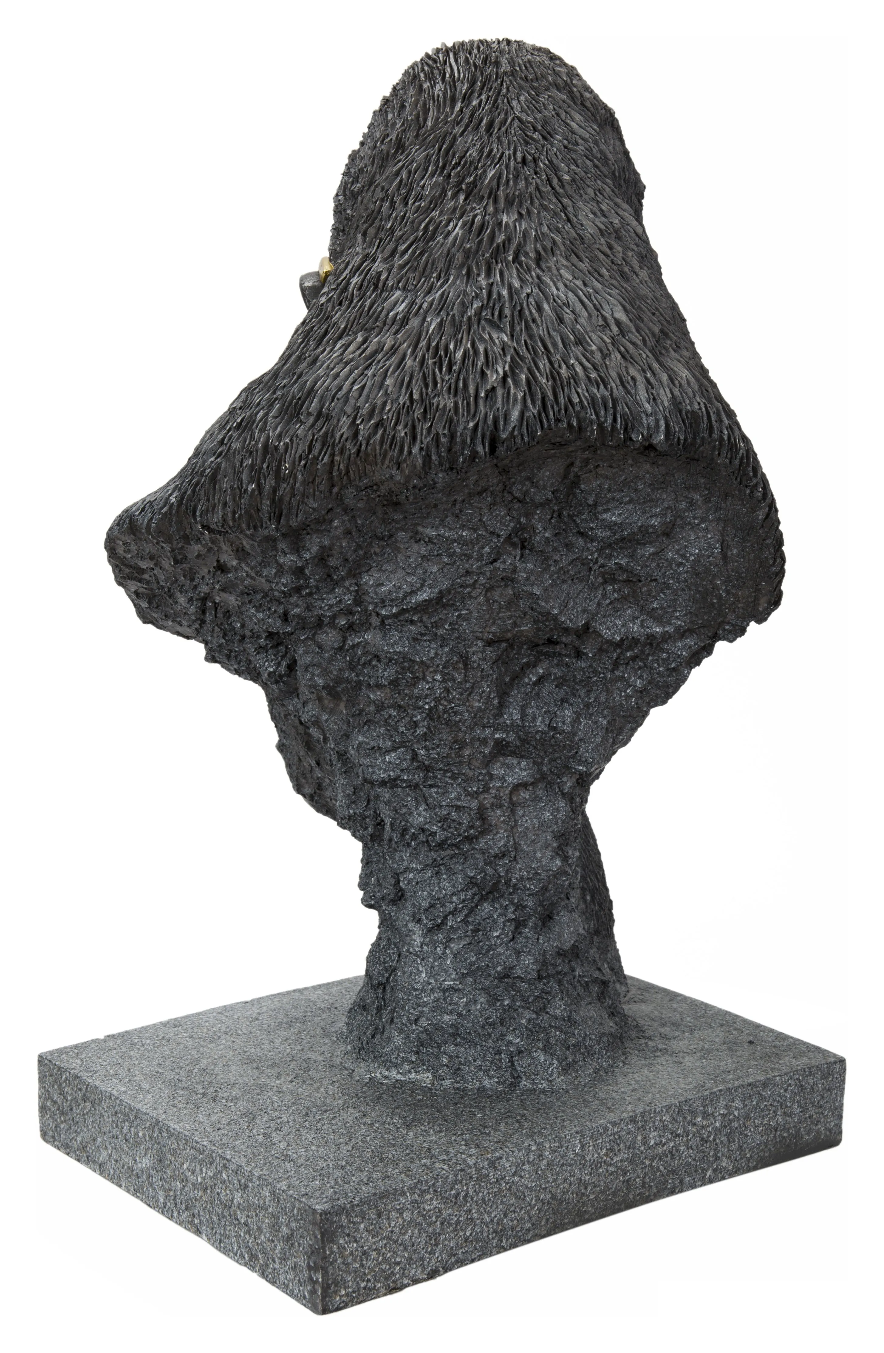 Gorilla Head With Golden Glasses