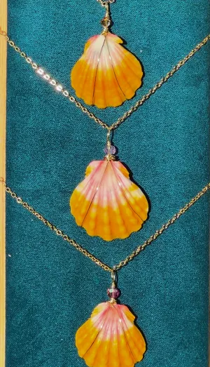 Hawaiian Sunrise Shell Necklace