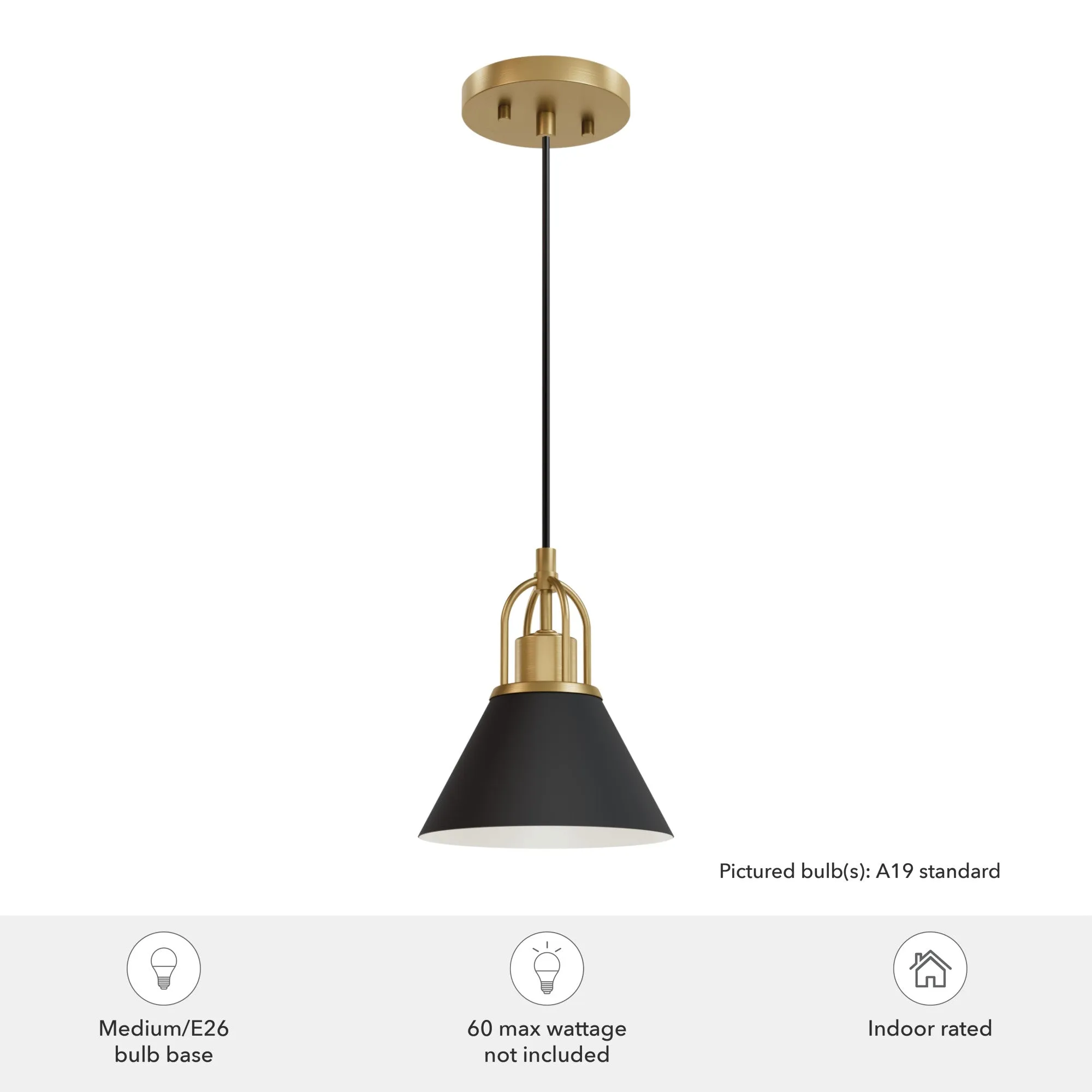 Hunter Carrington Isle Flat Matte Black and Luxe Gold 1 Light Mini Pendant Ceiling Light Fixture - Jasmine Roth Collection