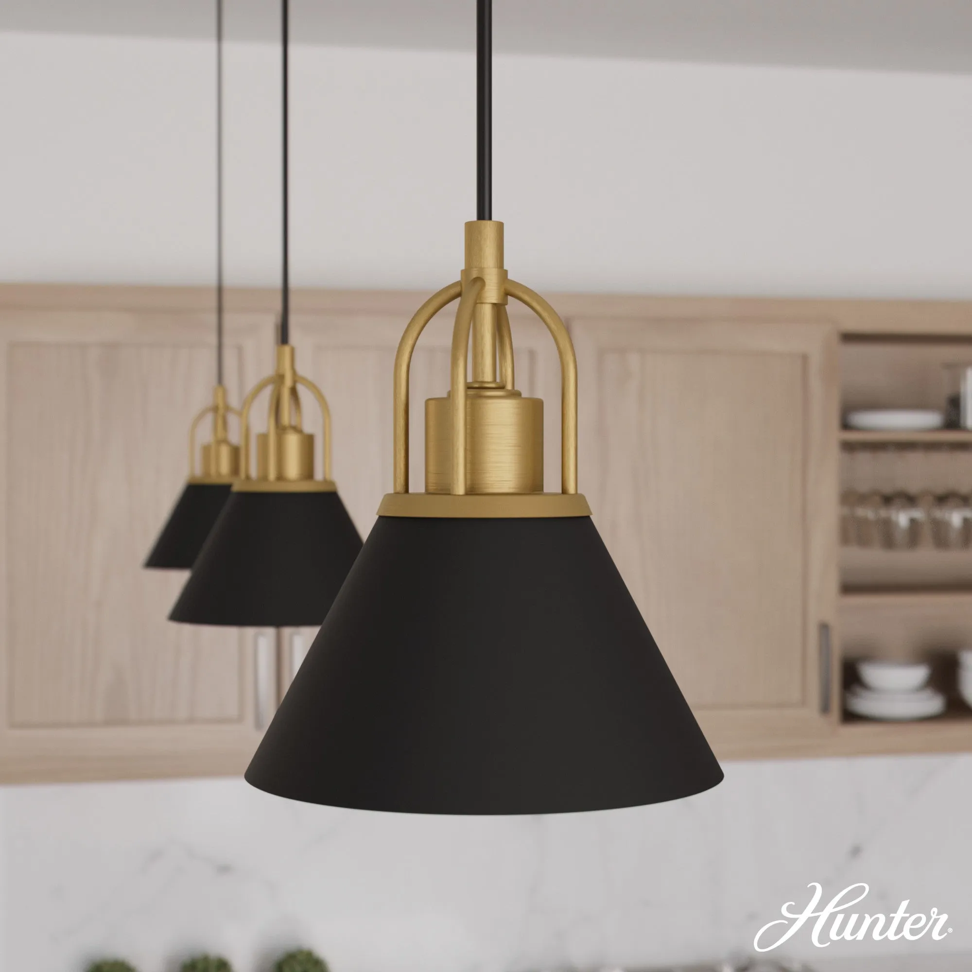 Hunter Carrington Isle Flat Matte Black and Luxe Gold 1 Light Mini Pendant Ceiling Light Fixture - Jasmine Roth Collection
