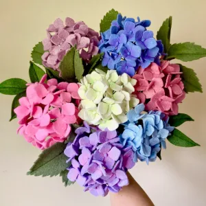 Hydrangea, SVG   PDF Digital Download