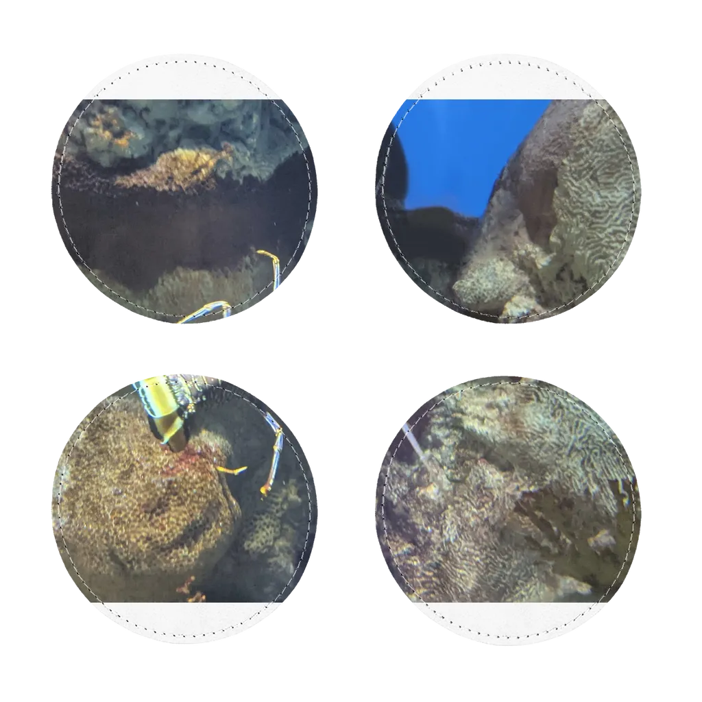 Lobster Sublimation Coasters Pack of Four