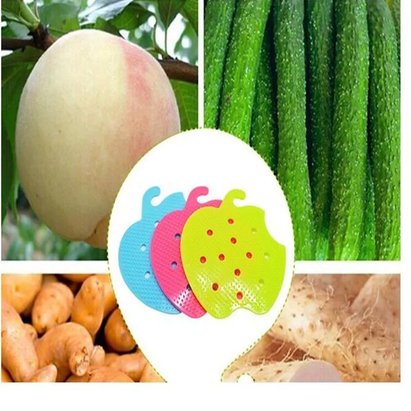 Multi-functional Fruit Vegetable Cleaning Brush - 50% OFF