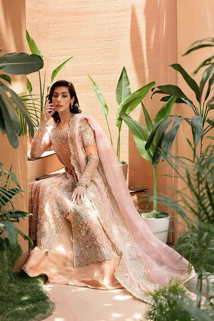 Mushq | Tuscany Luxury Formals | Corallina