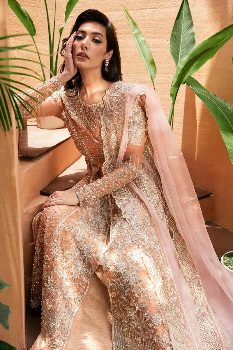Mushq | Tuscany Luxury Formals | Corallina