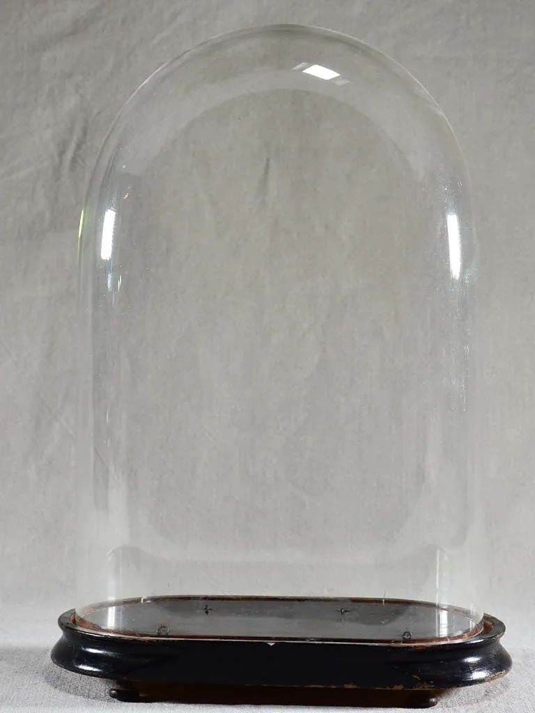 Napoleon III carafe in a glass dome