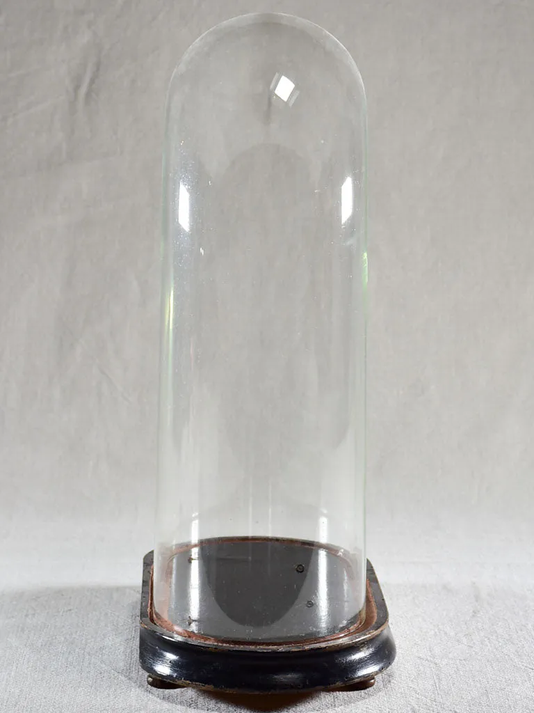 Napoleon III carafe in a glass dome