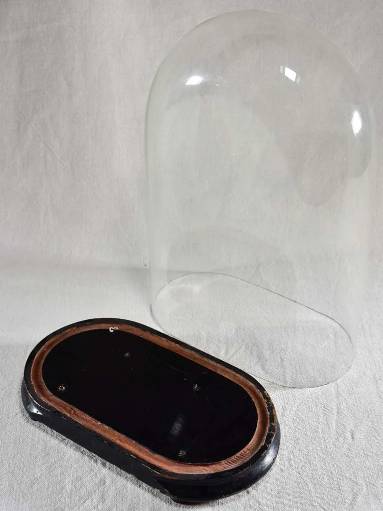 Napoleon III carafe in a glass dome