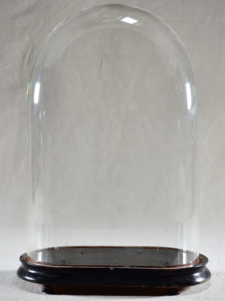 Napoleon III carafe in a glass dome
