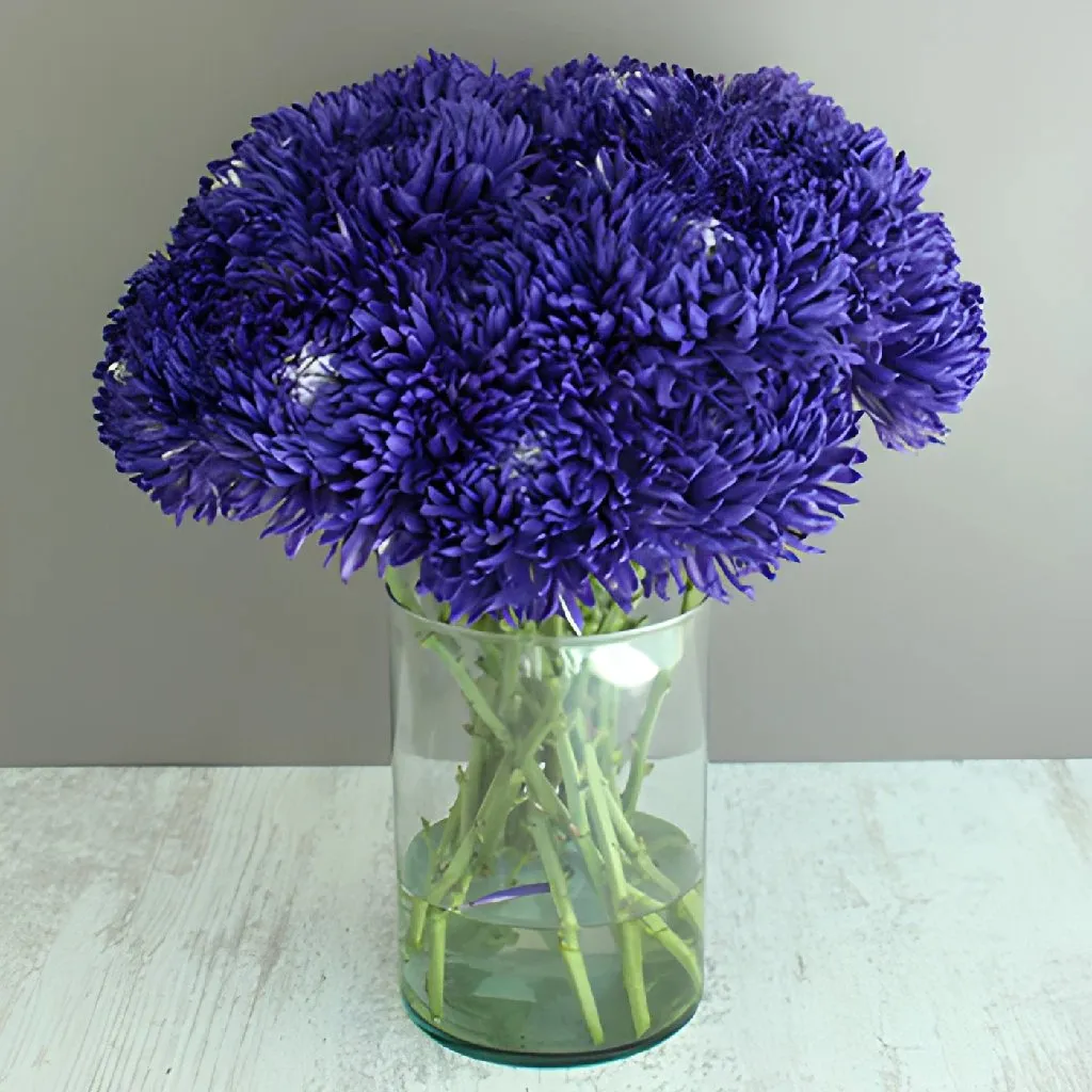 Northern Lights Purple TInted Football Mum Flowers