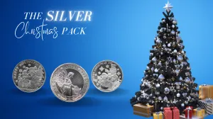 Silver Christmas Pack