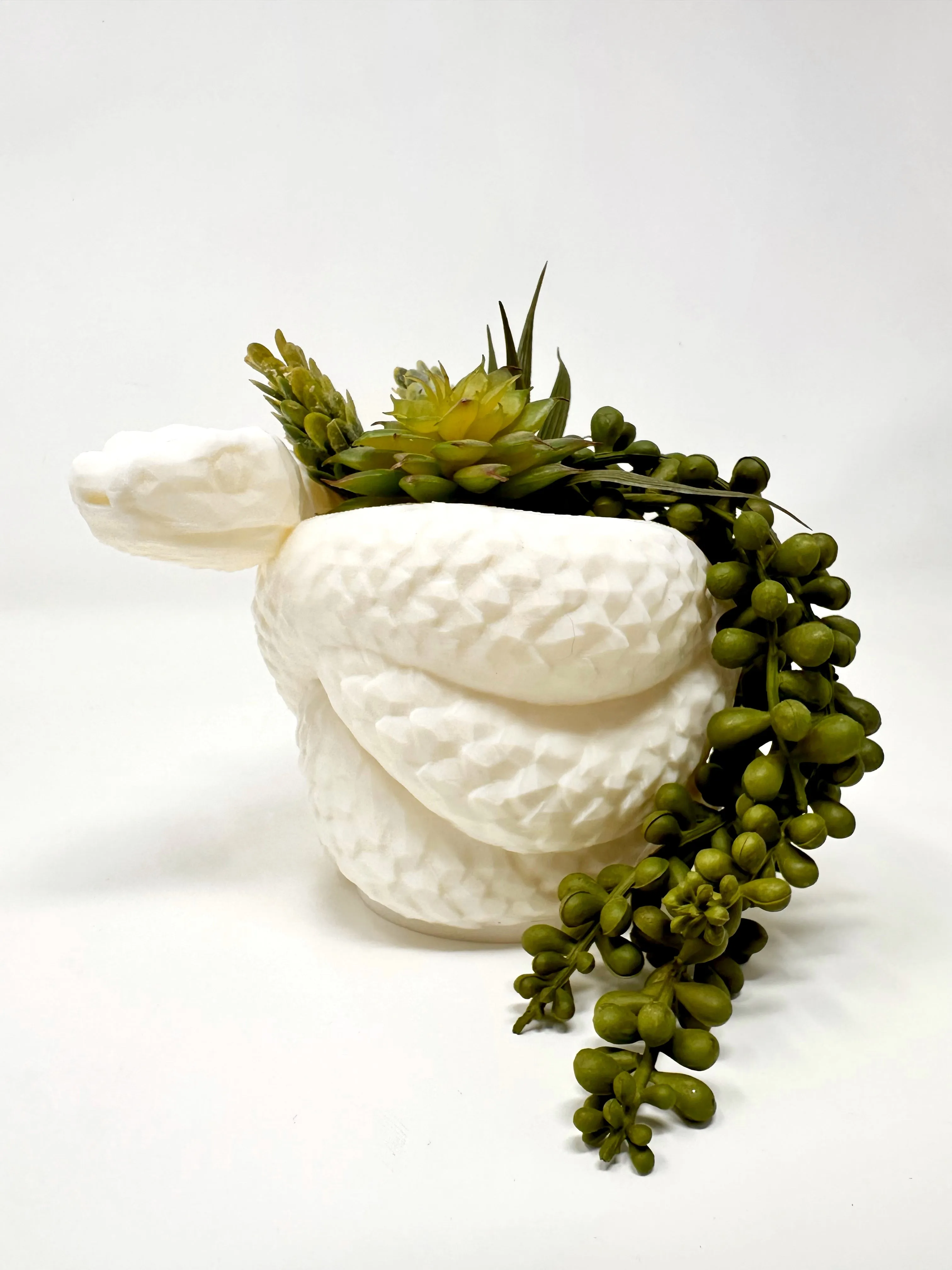 Snake Vase/Pot