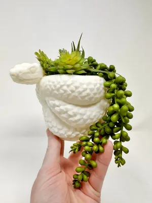 Snake Vase/Pot