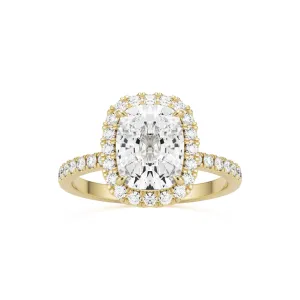 The Elongated Cushion Halo Pavé