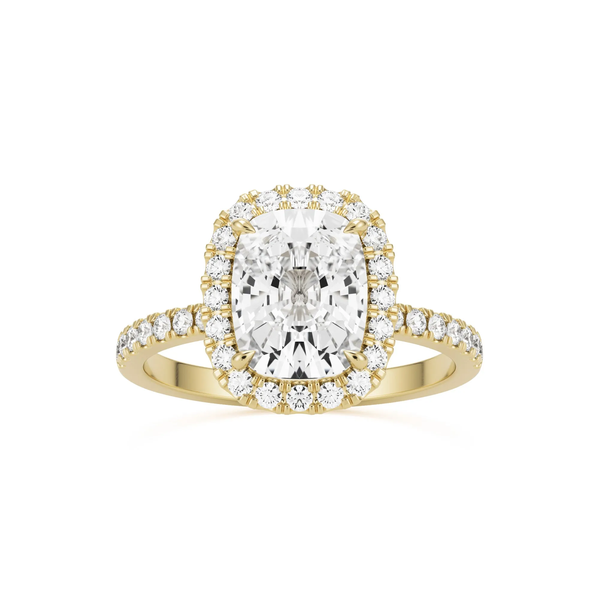 The Elongated Cushion Halo Pavé