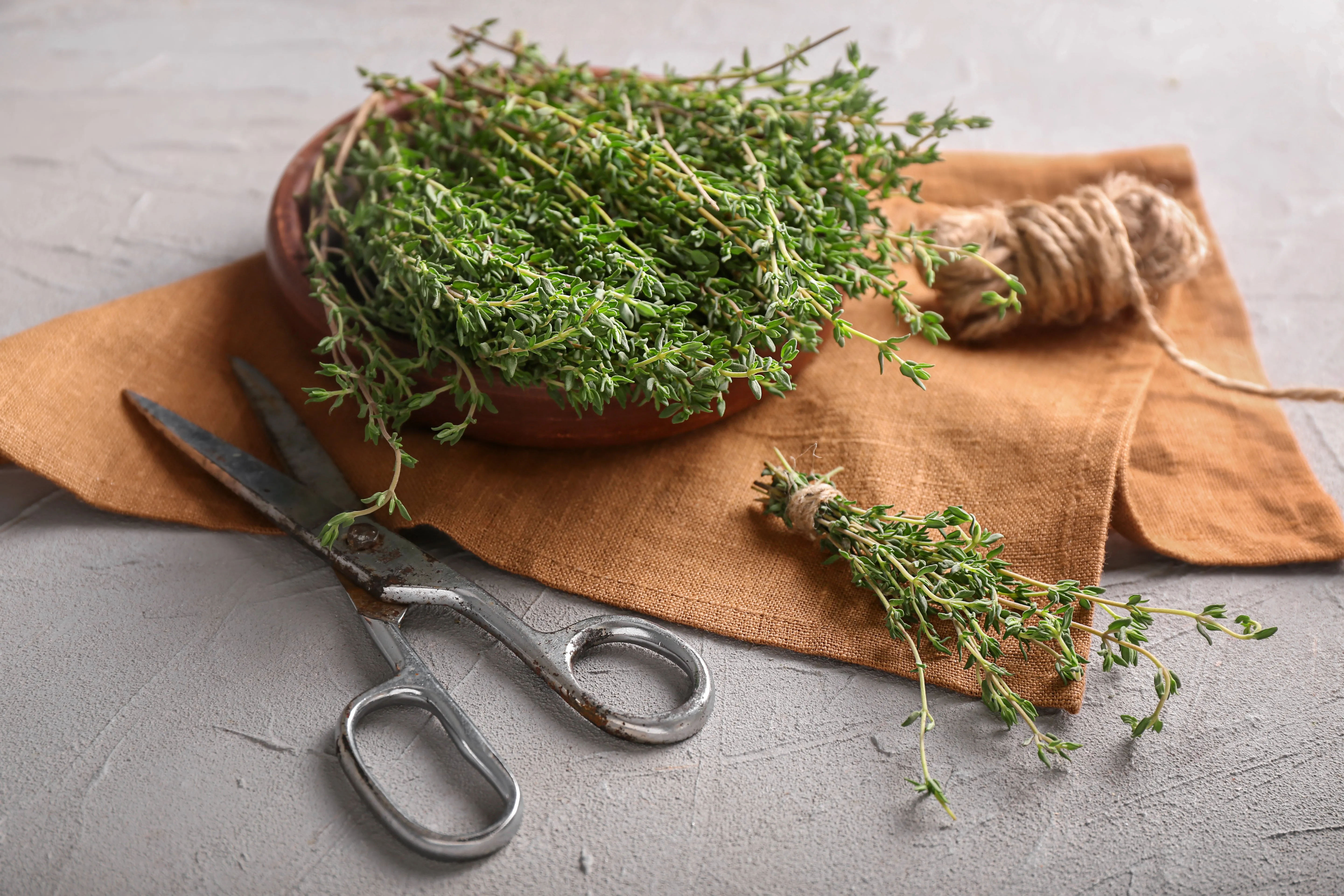 Thyme powder
