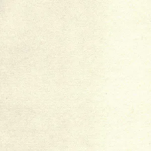 Wool Felt Quarter Yard in White