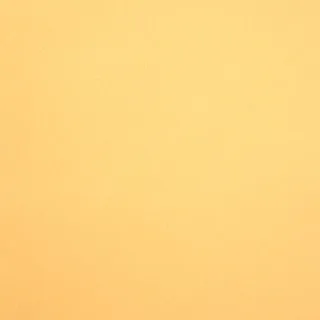 Wool Felt Solids 10 Light Mustard