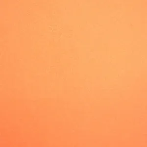 Wool Felt Solids 17 Apricot