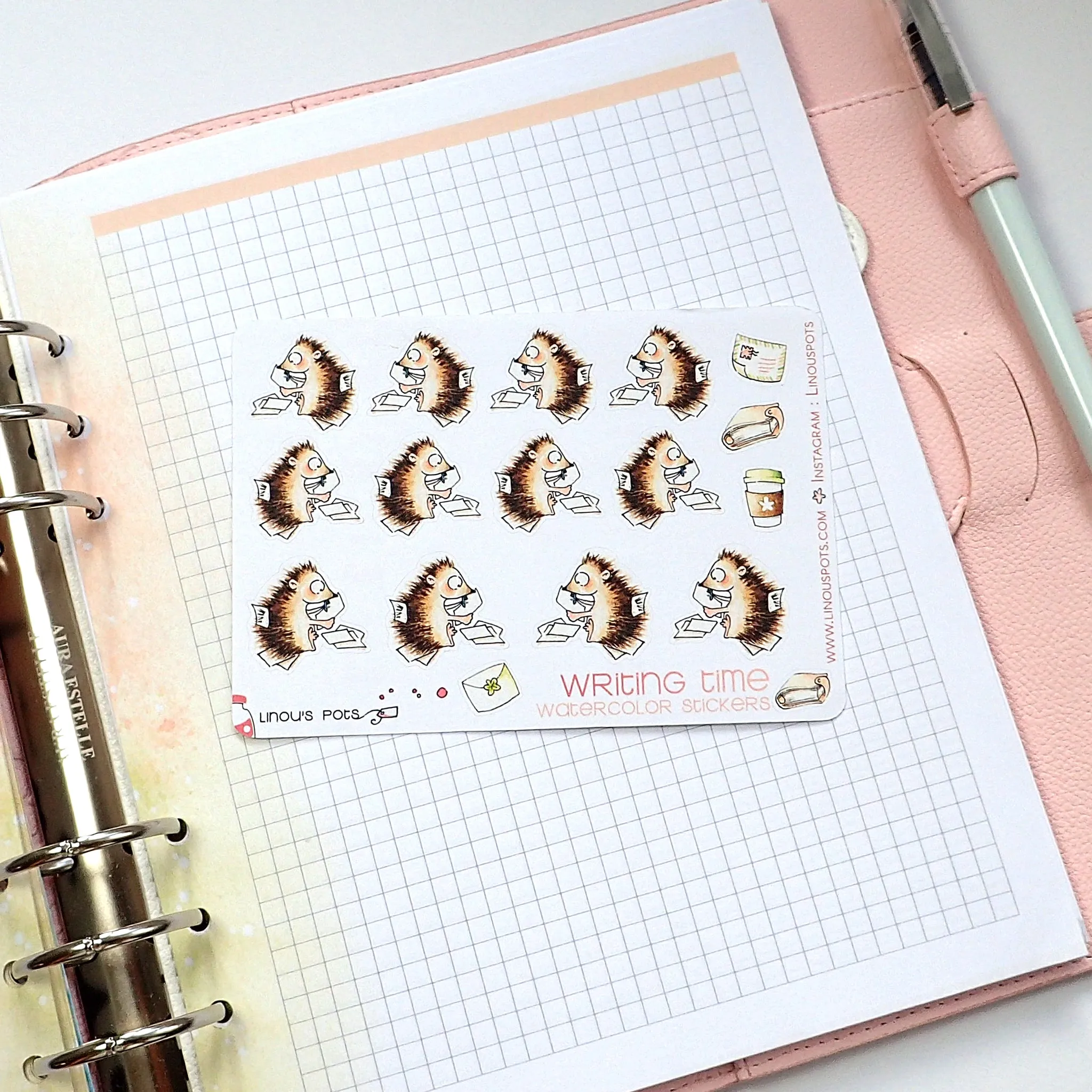 Writing Time - Decorative Watercolor Stickers - Writing Hedgehogs